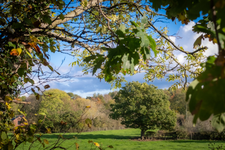 A landscape of fields and trees with a blue sky